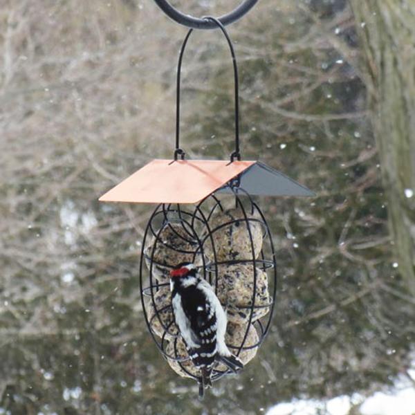 Bird feeder with a woodpecker design against a blurred natural background